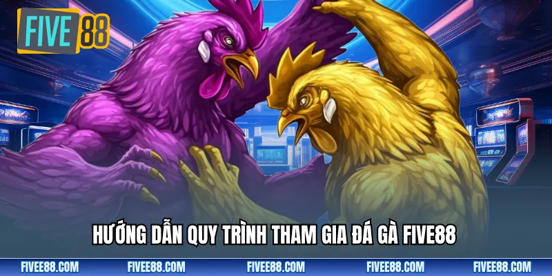 Hướng dẫn quy trình tham gia đá gà FIVE88