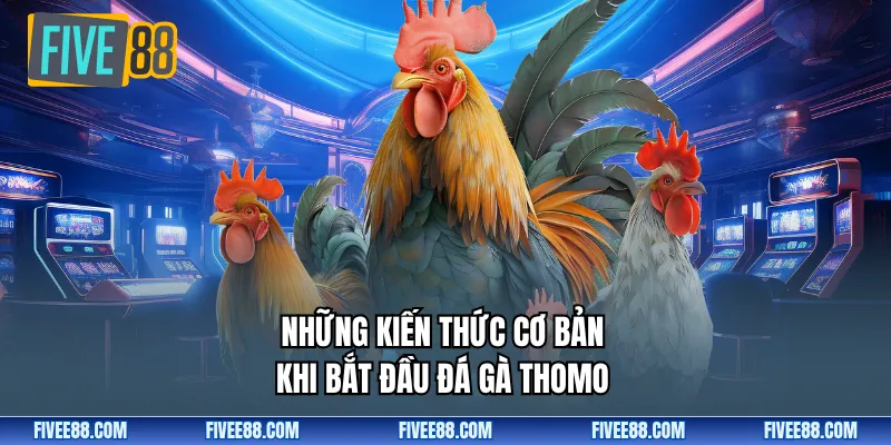 Những kiến thức cơ bản khi bắt đầu đá gà thomo