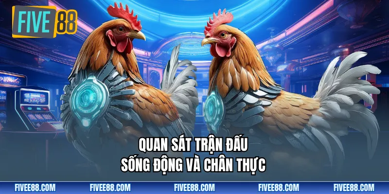 Quan sát trận đấu sống động và chân thực