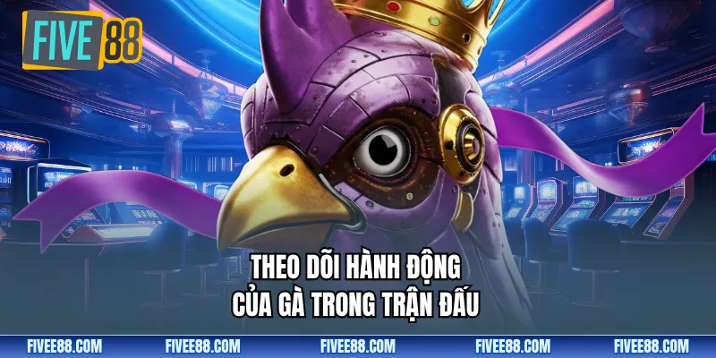 Theo dõi hành động của gà trong trận đấu